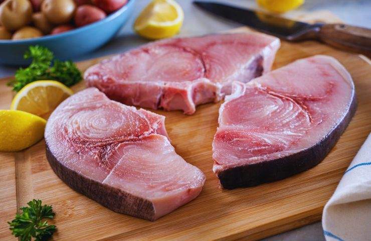 pesce spada crudo
